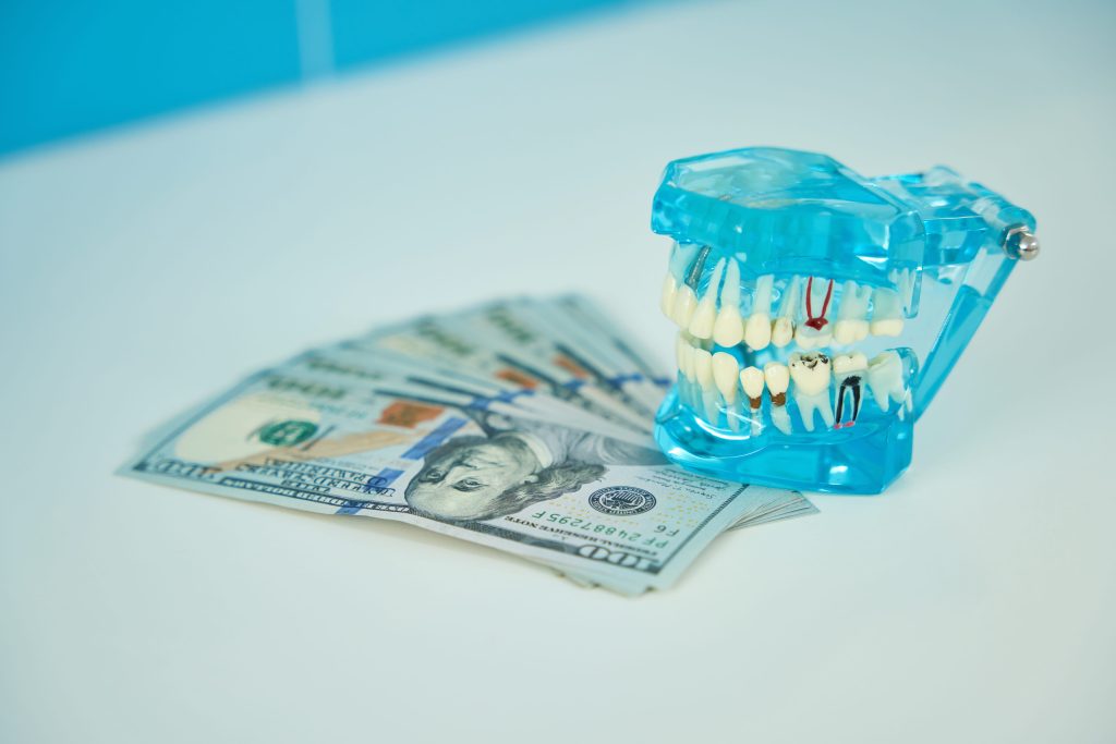 Dental Model with Hundred Dollar Bills