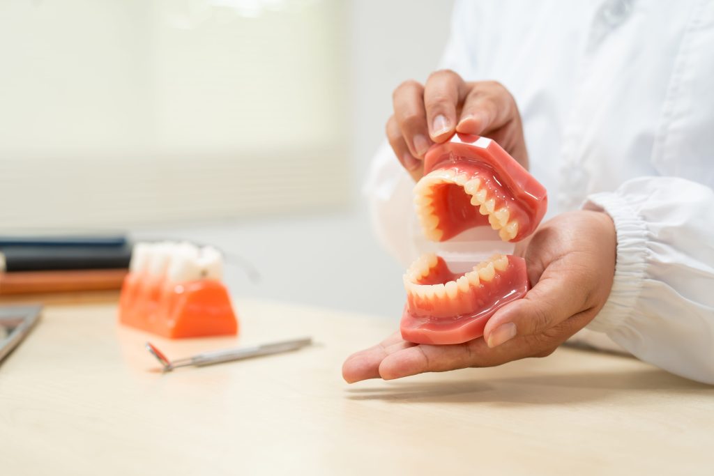 Dental Professional Holding Dentures in Bright, Clean Office